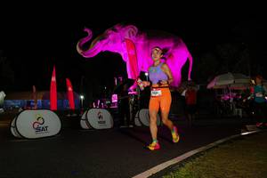 BIB: 
                            <button type="button" onclick="openModal(26544321)" class="btn btn-primary btn-sm float-right btn-popup" data-toggle="modal" data-target=".modal-high-quality">
                        <i class="fas fa-shopping-cart"></i> Add to Cart
                    </button>
                                            <button type="button" onclick="isThisMe(26544321, true)" class="btn btn-success btn-sm float-right btn-popup btn-isme hidden" data-toggle="tooltip" data-placement="bottom" title="นี่คือรูปของคุณใช่ไหม คลิกที่นี่เพื่อเอาเข้าอัลบั้ม">
                        <i class="fas fa-plus"></i> Add to album
                    </button>
                    <button type="button" onclick="isThisMe(26544321, false)" class="btn btn-warning btn-sm float-right btn-popup btn-isnotme hidden">
                        <i class="fas fa-ban"></i> Remove from album
                    </button>